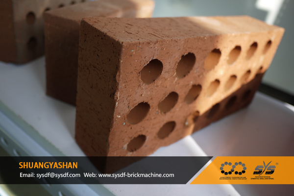 Hollow Bricks Production